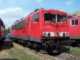 E-Lok BR155