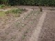 Garten 2012