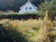 Garten 2012