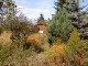 Garten 2012