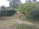 Garten 2012