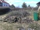 Garten 2013