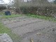 Garten 2013