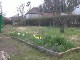 Garten 2013