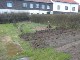 Garten 2013