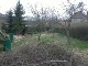 Garten 2013