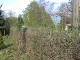 Garten 2013