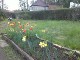Garten 2013