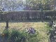 Garten 2013