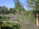 Garten 2013