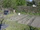 Garten 2013