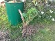 Garten 2013
