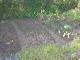Garten 2013