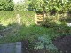 Garten 2013