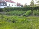 Garten 2013