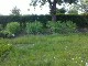 Garten 2013