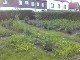 Garten 2013