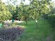 Garten 2013