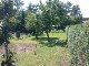 Garten 2013