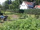 Garten 2013