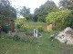 Garten 2013