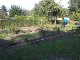 Garten 2013