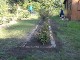 Garten 2013