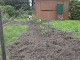 Garten 2013