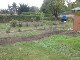 Garten 2013