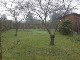 Garten 2013