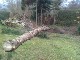 Garten 2013