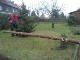 Garten 2013