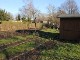 Garten 2013