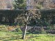 Garten 2013