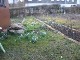 Garten 2014