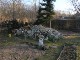 Garten 2014