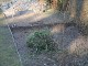 Garten 2014