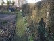 Garten 2014