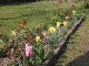 Garten 2014