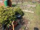 Garten 2014