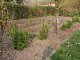 Garten 2014