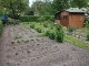 Garten 2014
