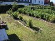 Garten 2014