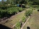 Garten 2014
