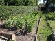 Garten 2014