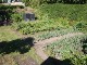 Garten 2014