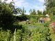 Garten 2014