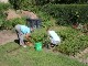 Garten 2014