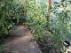 Garten 2014