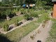 Garten 2014